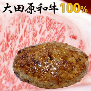 大田原和牛100% 大田原和牛オリジナルハンバーグセット 150gｘ5枚 丸亀精肉店のサムネイル画像