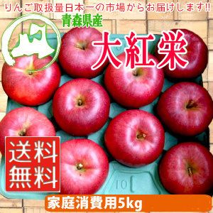 青森りんご 大紅栄 訳あり 5kg前後 弘果フレッシュ便のサムネイル画像 3枚目