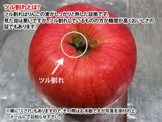 青森りんご 大紅栄 訳あり 5kg前後 弘果フレッシュ便のサムネイル画像 2枚目