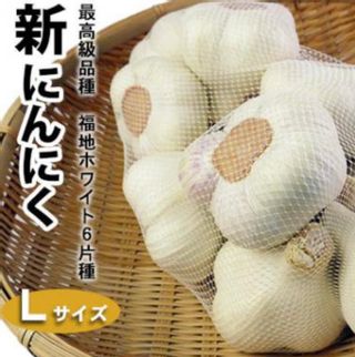 新にんにく 最高級品種 福地ホワイト6片種 中村農園のサムネイル画像 1枚目