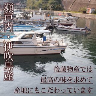 伊吹島産・煮干（大羽）450gの画像 2枚目