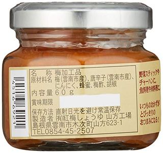 梅ぴりサルサ 有限会社紅梅しょうゆのサムネイル画像 3枚目