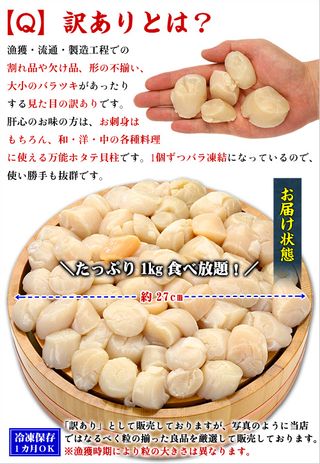 生ほたて貝柱 訳あり 1kg 越前かに職人甲羅組のサムネイル画像 2枚目