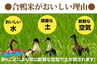 合鴨米ヒノヒカリ5kg 株式会社岡本商店のサムネイル画像 2枚目