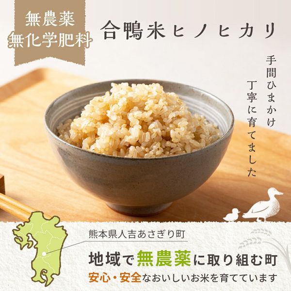 21日発送 かずちゃん米 無農薬 新米純こしひかり30㎏ 玄米 - 食品