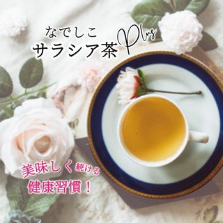 なでしこサラシア茶PLUS ハーブ研究所のサムネイル画像 1枚目