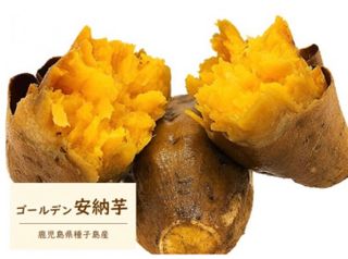 ゴールデン安納芋焼き芋1kg いも家Kanekiのサムネイル画像 1枚目