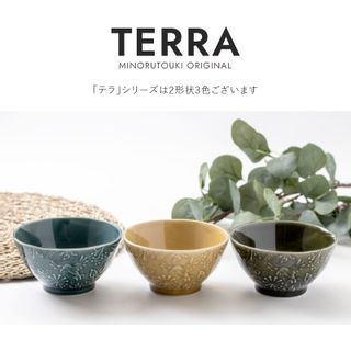 みのる陶器【TERRA～hummingbird～】180bowlの画像 1枚目