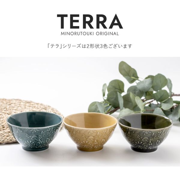 みのる陶器【TERRA～hummingbird～】180bowlの画像