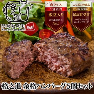  金格ハンバーグ の画像 1枚目