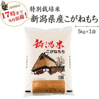 こがねもち 5kg 越後の米穀商高田屋のサムネイル画像