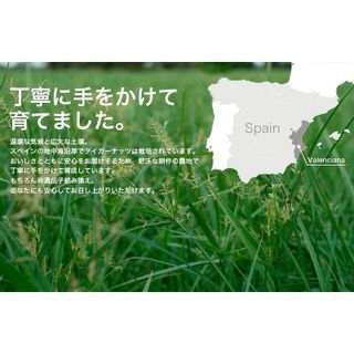 タイーガーナッツ（皮なしタイプ） 株式会社そうまファクトリーのサムネイル画像 4枚目