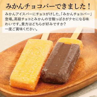 みかんアイスバーとチョコバー詰合せ 早和果樹園のサムネイル画像 3枚目