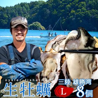 三陸雄勝湾　生牡蠣　L　8個 海遊のサムネイル画像 2枚目