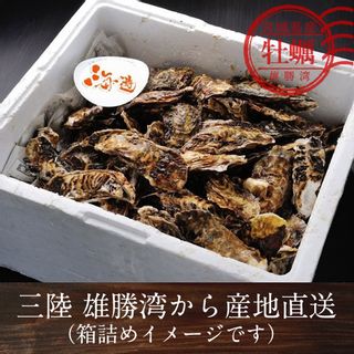 三陸雄勝湾　生牡蠣　L　8個の画像 3枚目