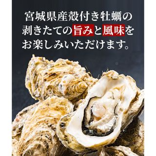 宮城三陸産 生食用　冷凍 殻付き牡蠣 1kg 仙台いろはのサムネイル画像 2枚目