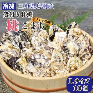 冷凍　殻付き牡蠣 桃こまち Lサイズ 10個 かうKOKOのサムネイル画像 1枚目