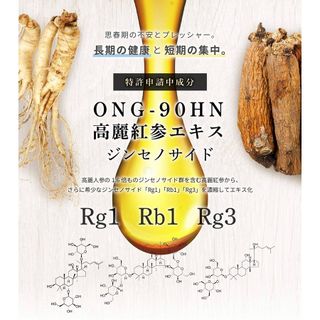 528高麗紅参茶 受験王100 オンガネジャパンのサムネイル画像 2枚目