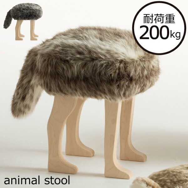 ANIMAL STOOL（アニマルスツール）の画像