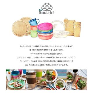 Biodegradable カトラリークラスター EcoSouLife（エコソウライフ）のサムネイル画像 2枚目