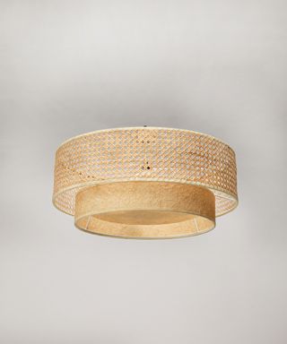 DAFNE CEILING LAMP ダフネ シーリングランプ JOURNAL STANDARD FURNITURE（ジャーナルスタンダードファニチャー）のサムネイル画像 1枚目