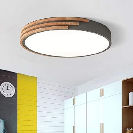 Round LED Flush Mount Ceiling Light Nordic Style Iron Dimmableの画像