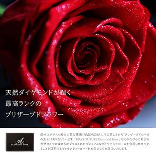 Diamond Rose(ダイヤモンドローズ) 2020 プリザーブドフラワー 一輪の薔薇 マンダリンオレンジの画像 3枚目