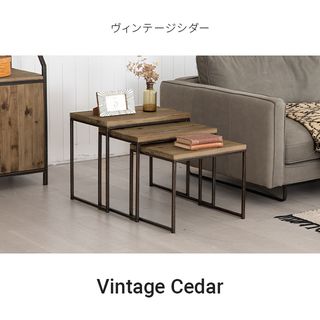 Rootage(ルーテージ)サイドテーブルの画像 2枚目