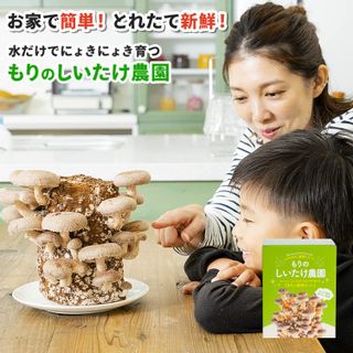 森のきのこ倶楽部 もりのしいたけ農園 栽培キット  森産業株式会社のサムネイル画像 2枚目