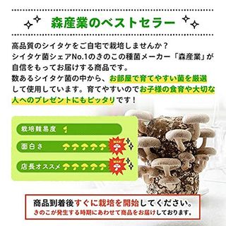 森のきのこ倶楽部 もりのしいたけ農園 栽培キット  森産業株式会社のサムネイル画像 4枚目