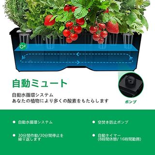 水耕栽培キット　IGS-20SE JustSmart(ジャストスマート)のサムネイル画像 4枚目