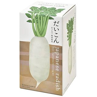 おうちで根菜栽培セット だいこん 聖新陶芸のサムネイル画像 1枚目