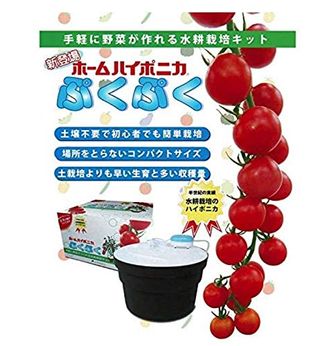 ホームハイポニカプクプク 水耕栽培キット　040613 協和株式会社　ハイポニカ事業部のサムネイル画像 2枚目