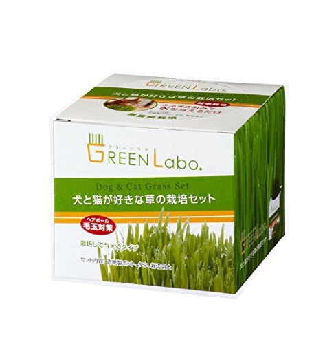 GREEN Labo(グリーンラボ)