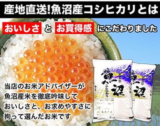 新潟県産 魚沼産コシヒカリ 産直 白米 5kg 令和2年産の画像 2枚目