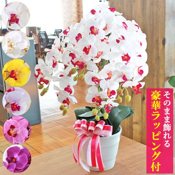 シルクフラワーの胡蝶蘭の鉢植え    5本立ちの画像