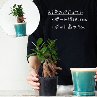 4色から選べる、植物に合わせやすい植木鉢 Sの画像 3枚目