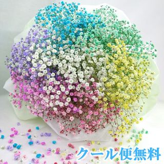 7色 かすみ草 ブーケ 花ことばのサムネイル画像 1枚目