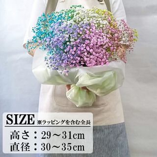 7色 かすみ草 ブーケ 花ことばのサムネイル画像 2枚目