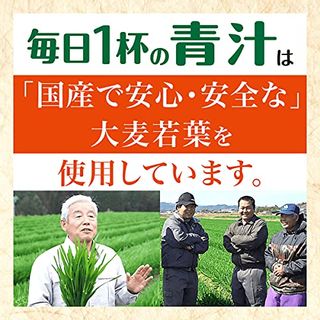 毎日1杯の青汁 まろやか豆乳ミックス 伊藤園のサムネイル画像 4枚目