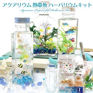 アクアリウム 熱帯魚 ハーバリウムキット ローズガーデン　ゆめ工房のサムネイル画像 2枚目