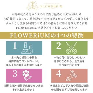  ハーバリウム　エジソン (イエロー) FLOWERiUM(フラワリウム)のサムネイル画像 4枚目