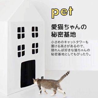 キッズテント POMPOM PICASSO（ポムポムピカソ）のサムネイル画像 4枚目