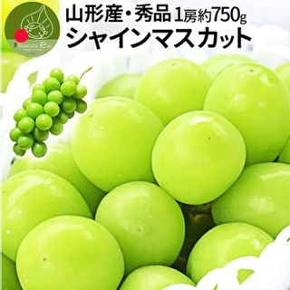 シャインマスカット 1房　(約750g前後） お茶と名産品の専門店　緑茶園のサムネイル画像 1枚目