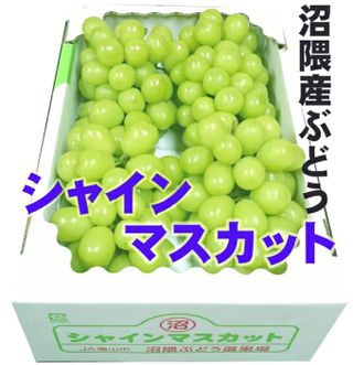 ぶどうシャインマスカット４房入秀品 沼隈ぶどう産直便のサムネイル画像 1枚目