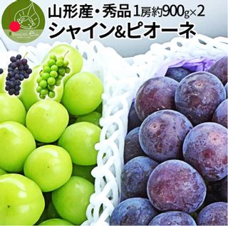 シャインマスカット ＆ ピオーネ 約1.8kg（約900g×2房） お茶と名産品の専門店　緑茶園のサムネイル画像