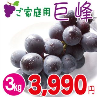 ご家庭用巨峰３ｋｇ 森園のサムネイル画像 1枚目