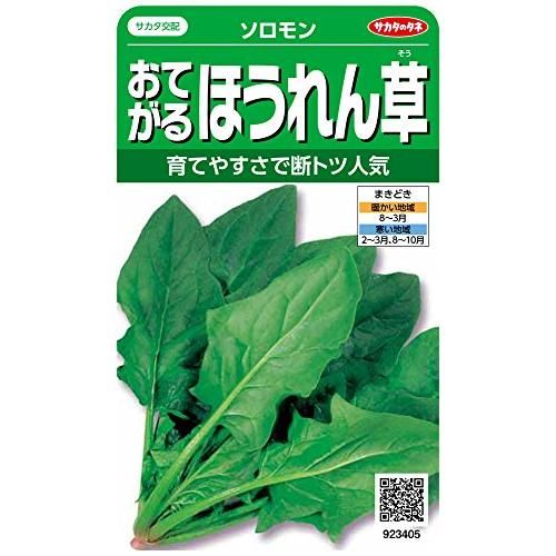 実咲野菜3405 おてがるほうれん草 ソロモン サカタのタネのサムネイル画像 1枚目