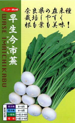 野口のタネ/野口種苗研究所