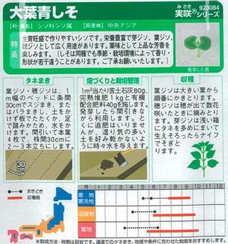 実咲野菜3084 大葉青しそ 00923084 サカタのタネのサムネイル画像 2枚目